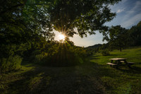 Nature/Landscape